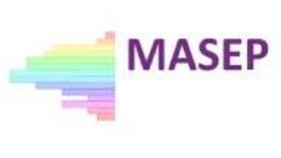 [Translate to English:] masep